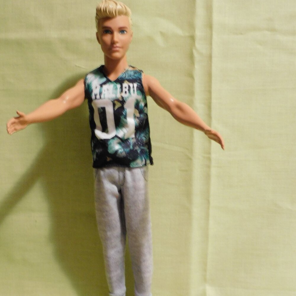 Ken doll with accessories